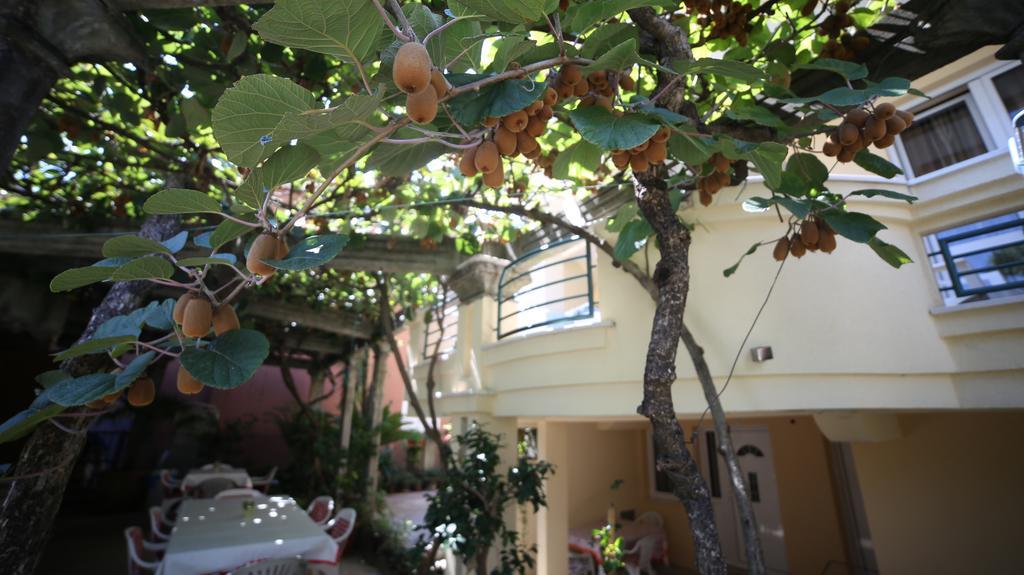Lilian Apartments بودفا المظهر الخارجي الصورة